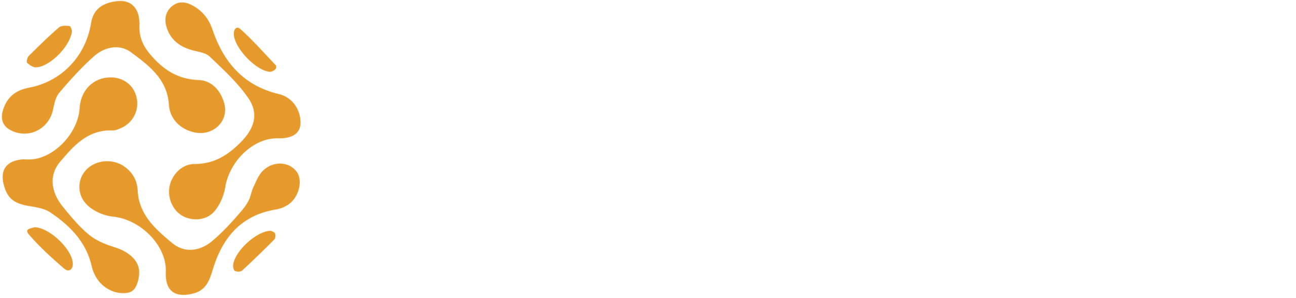 FortiLink Systems Ltd